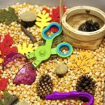 Fall Sensory Bin For Preschool Sensory Play